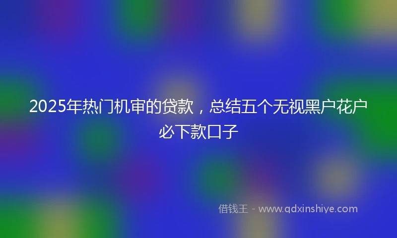 2025年热门机审的贷款，总结五个无视黑户花户必下款口子
