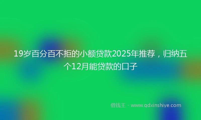 19岁百分百不拒的小额贷款2025年推荐，归纳五个12月能贷款的口子