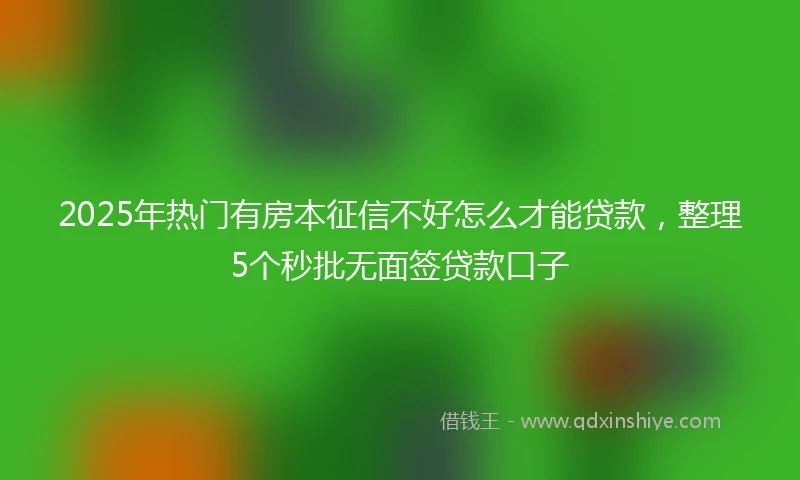 2025年热门有房本征信不好怎么才能贷款，整理5个秒批无面签贷款口子