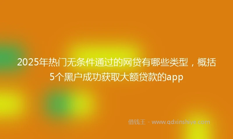 2025年热门无条件通过的网贷有哪些类型，概括5个黑户成功获取大额贷款的app
