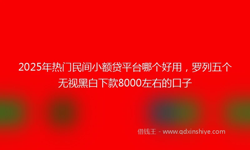 2025年热门民间小额贷平台哪个好用，罗列五个无视黑白下款8000左右的口子