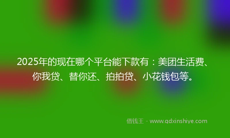2025年的现在哪个平台能下款有:美团生活费、你我贷、替你还、拍拍贷、小花钱包等。