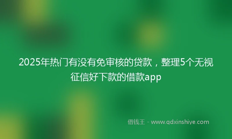 2025年热门有没有免审核的贷款，整理5个无视征信好下款的借款app