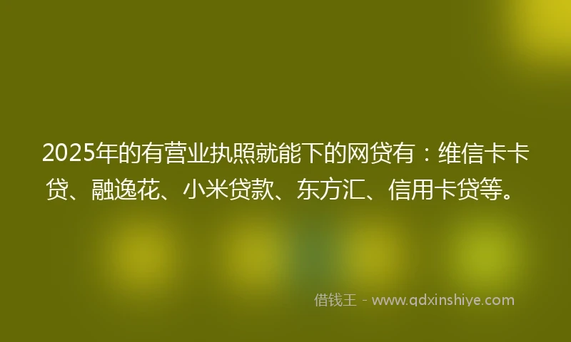 2025年的有营业执照就能下的网贷有：维信卡卡贷、融逸花、小米贷款、东方汇、信用卡贷等。