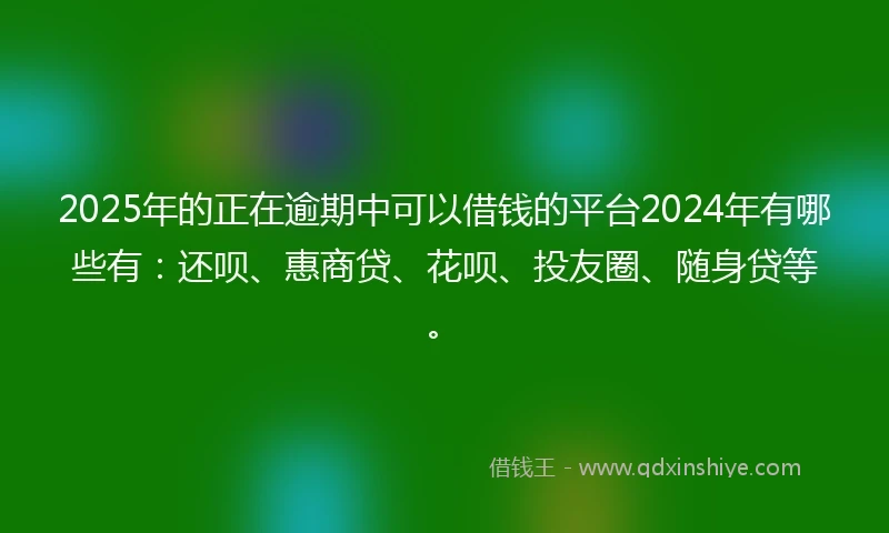 2025年的正在逾期中可以借钱的平台2024年有哪些有：还呗、惠商贷、花呗、投友圈、随身贷等。