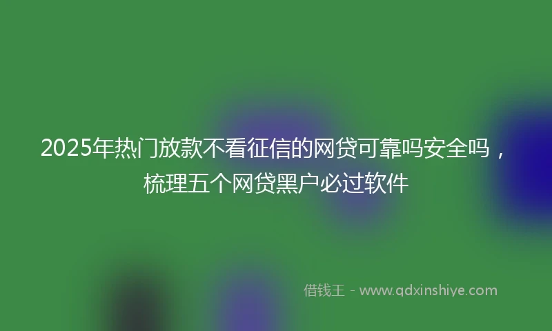 2025年热门放款不看征信的网贷可靠吗安全吗，梳理五个网贷黑户必过软件