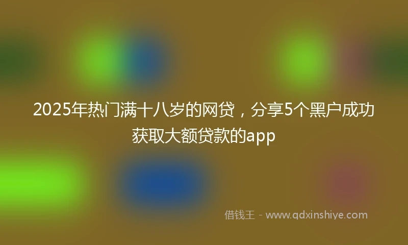 2025年热门满十八岁的网贷，分享5个黑户成功获取大额贷款的app