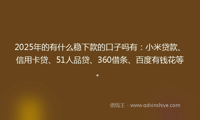 2025年的有什么稳下款的口子吗有：小米贷款、信用卡贷、51人品贷、360借条、百度有钱花等。