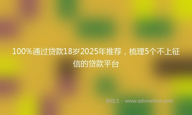 100%通过贷款18岁2025年推荐，梳理5个不上征信的贷款平台