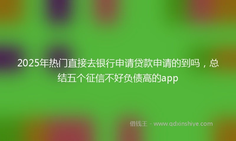 2025年热门直接去银行申请贷款申请的到吗，总结五个征信不好负债高的app