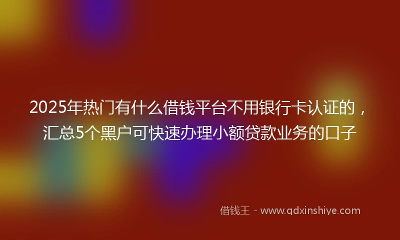 2025年热门有什么借钱平台不用银行卡认证的，汇总5个黑户可快速办理小额贷款业务的口子
