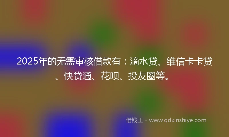 2025年的无需审核借款有：滴水贷、维信卡卡贷、快贷通、花呗、投友圈等。