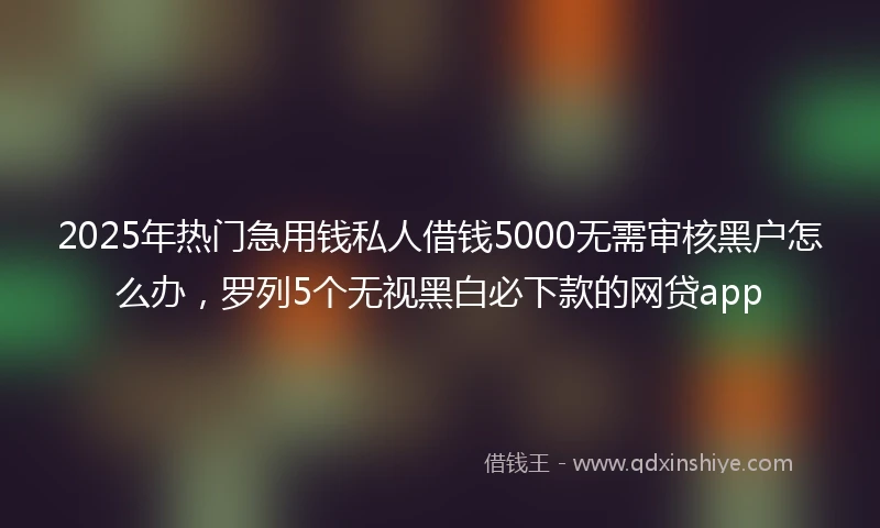 2025年热门急用钱私人借钱5000无需审核黑户怎么办，罗列5个无视黑白必下款的网贷app