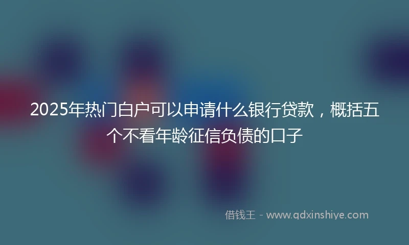 2025年热门白户可以申请什么银行贷款，概括五个不看年龄征信负债的口子