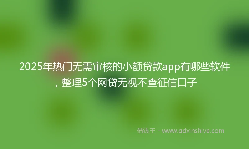 2025年热门无需审核的小额贷款app有哪些软件，整理5个网贷无视不查征信口子