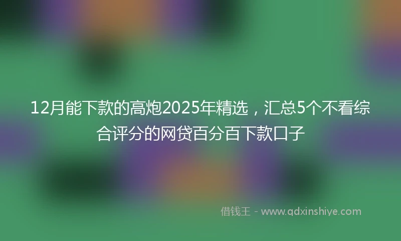 12月能下款的高炮2025年精选，汇总5个不看综合评分的网贷百分百下款口子