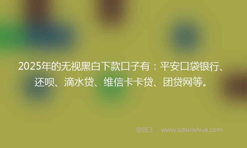 2025年的无视黑白下款口子有：平安口袋银行、还呗、滴水贷、维信卡卡贷、团贷网等。