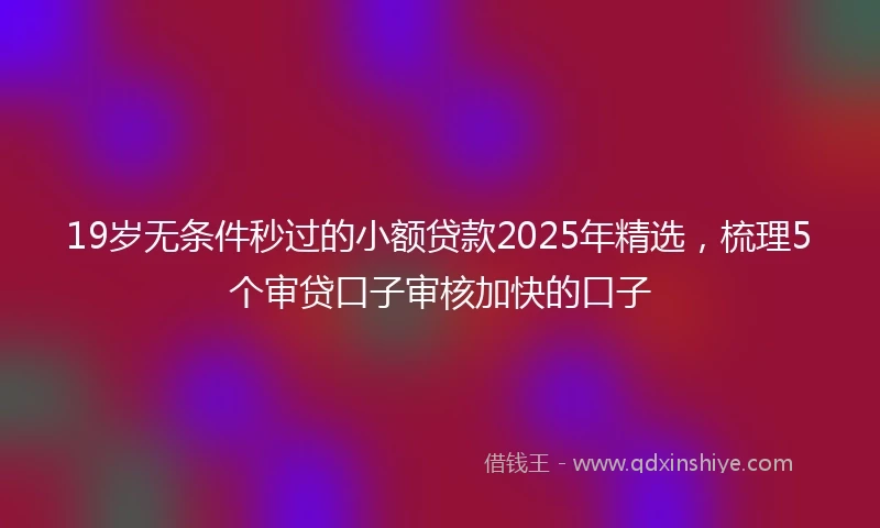 19岁无条件秒过的小额贷款2025年精选，梳理5个审贷口子审核加快的口子