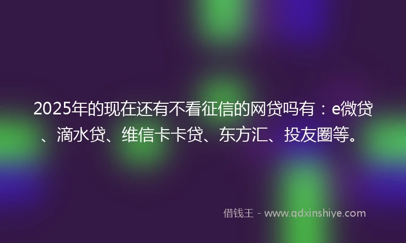 2025年的现在还有不看征信的网贷吗有:e微贷、滴水贷、维信卡卡贷、东方汇、投友圈等。