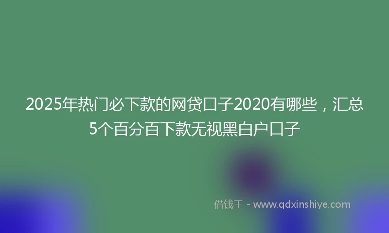2025年热门必下款的网贷口子2020有哪些，汇总5个百分百下款无视黑白户口子