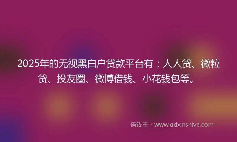 2025年的无视黑白户贷款平台有：人人贷、微粒贷、投友圈、微博借钱、小花钱包等。