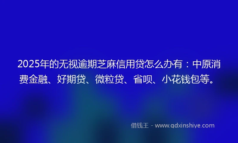2025年的无视逾期芝麻信用贷怎么办有：中原消费金融、好期贷、微粒贷、省呗、小花钱包等。