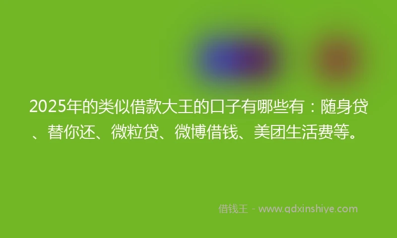 2025年的类似借款大王的口子有哪些有：随身贷、替你还、微粒贷、微博借钱、美团生活费等。