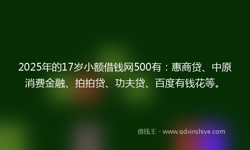 2025年的17岁小额借钱网500有：惠商贷、中原消费金融、拍拍贷、功夫贷、百度有钱花等。