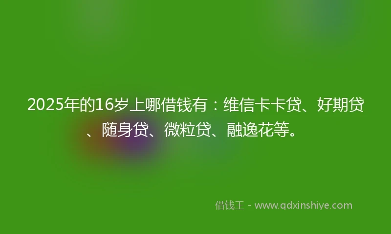 2025年的16岁上哪借钱有：维信卡卡贷、好期贷、随身贷、微粒贷、融逸花等。