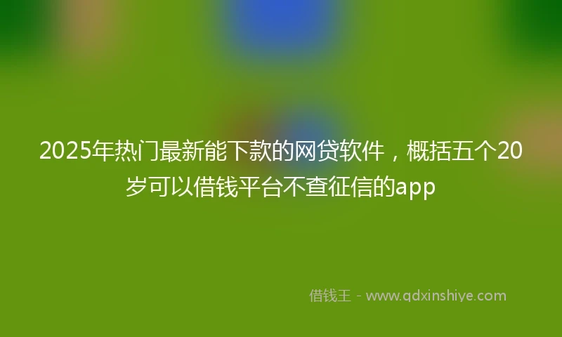 2025年热门最新能下款的网贷软件，概括五个20岁可以借钱平台不查征信的app