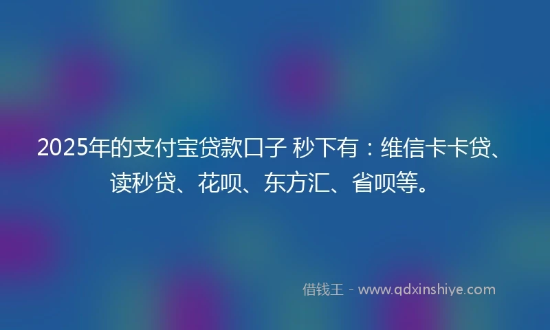2025年的支付宝贷款口子 秒下有：维信卡卡贷、读秒贷、花呗、东方汇、省呗等。