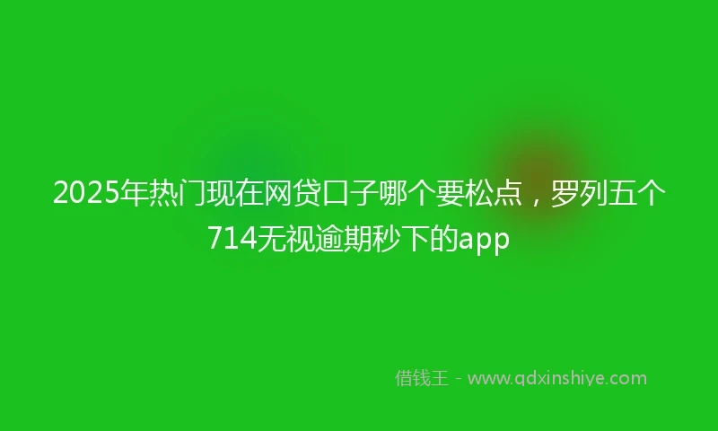 2025年热门现在网贷口子哪个要松点，罗列五个714无视逾期秒下的app