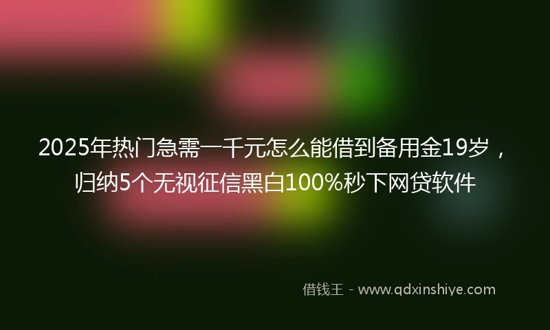 2025年热门急需一千元怎么能借到备用金19岁，归纳5个无视征信黑白100%秒下网贷软件
