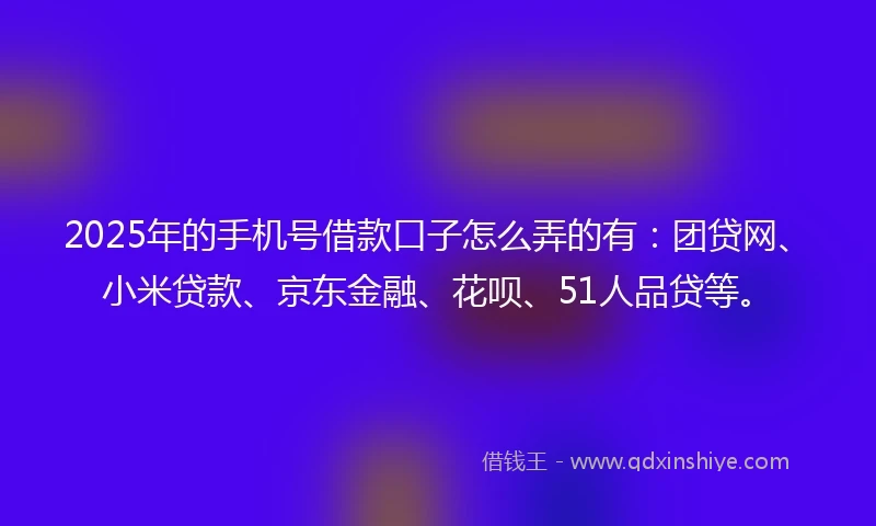 2025年的手机号借款口子怎么弄的有：团贷网、小米贷款、京东金融、花呗、51人品贷等。