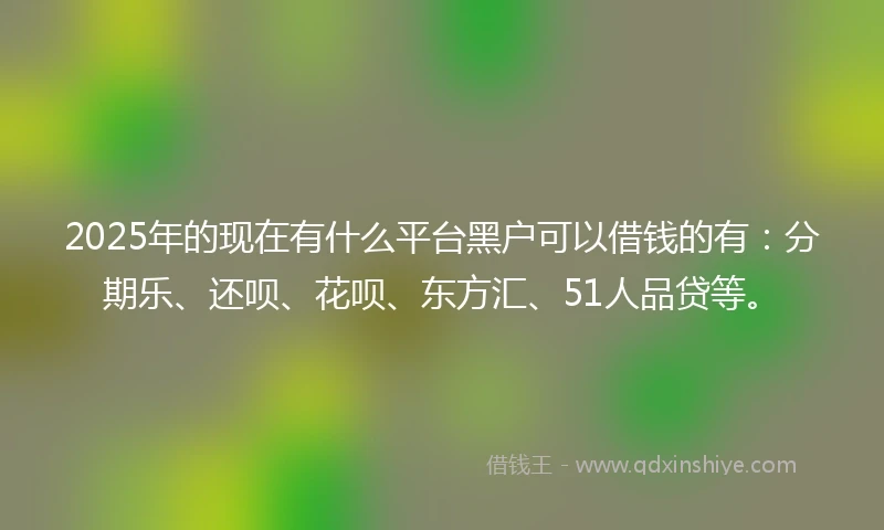 2025年的现在有什么平台黑户可以借钱的有：分期乐、还呗、花呗、东方汇、51人品贷等。