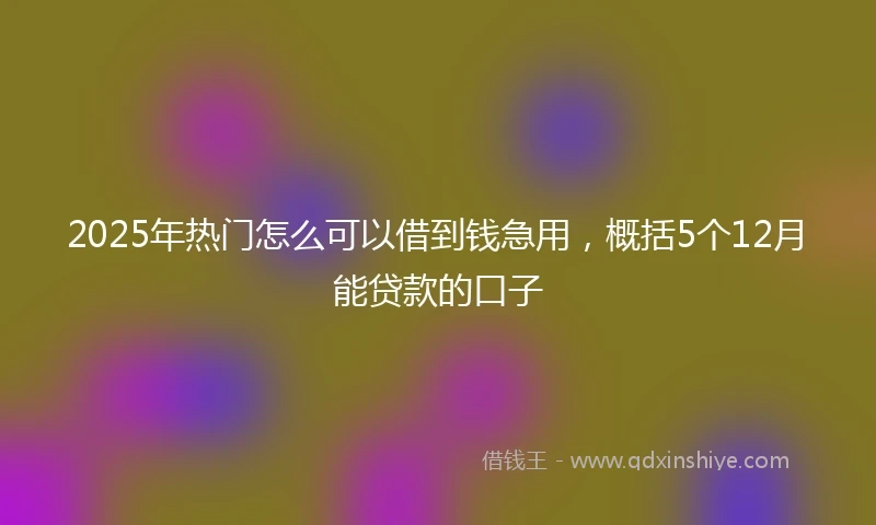2025年热门怎么可以借到钱急用，概括5个12月能贷款的口子