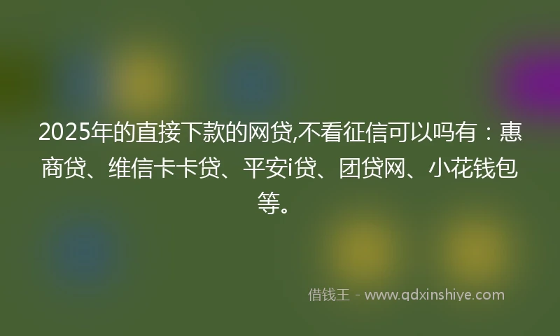 2025年的直接下款的网贷,不看征信可以吗有：惠商贷、维信卡卡贷、平安i贷、团贷网、小花钱包等。