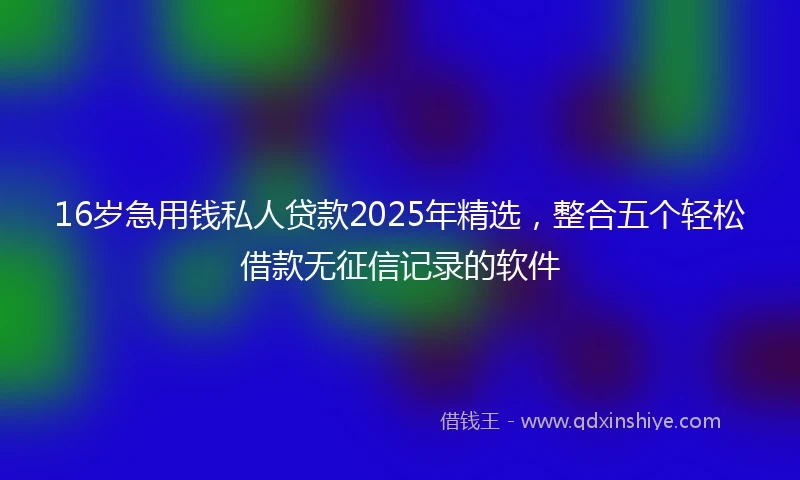 16岁急用钱私人贷款2025年精选，整合五个轻松借款无征信记录的软件