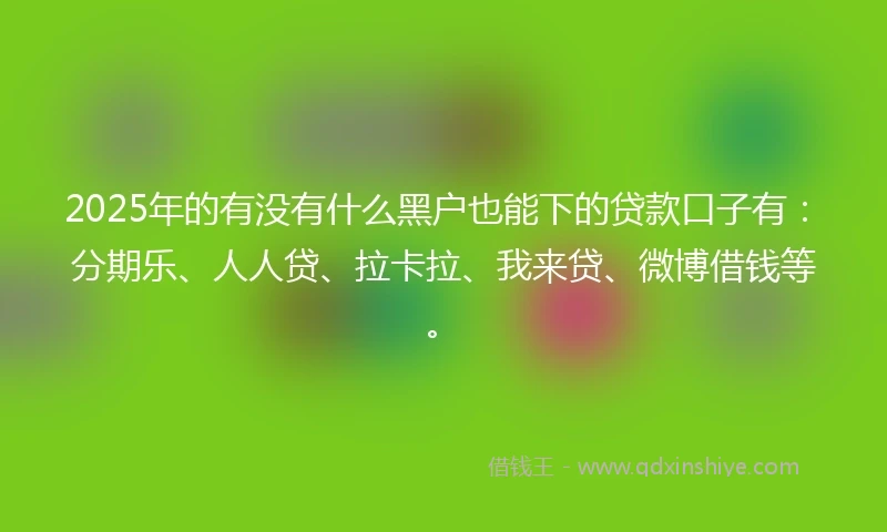 2025年的有没有什么黑户也能下的贷款口子有：分期乐、人人贷、拉卡拉、我来贷、微博借钱等。