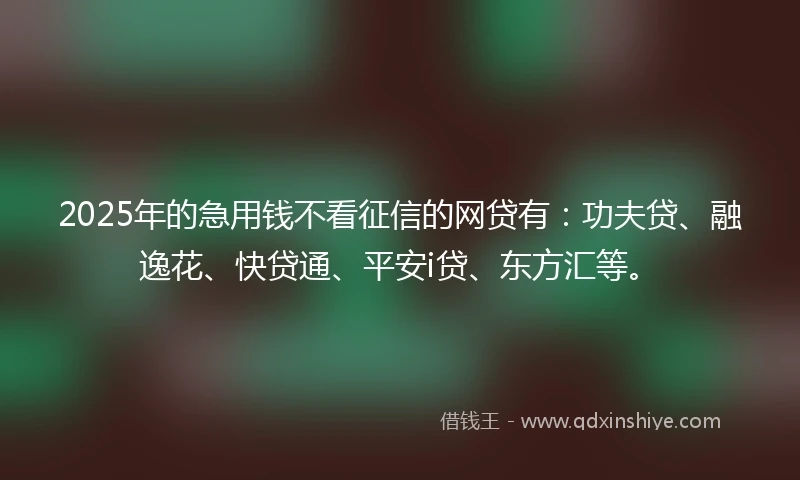 2025年的急用钱不看征信的网贷有：功夫贷、融逸花、快贷通、平安i贷、东方汇等。