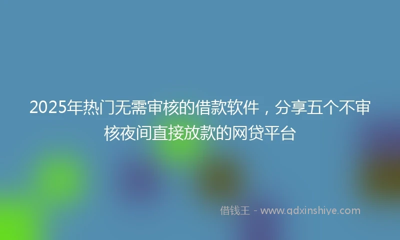 2025年热门无需审核的借款软件，分享五个不审核夜间直接放款的网贷平台