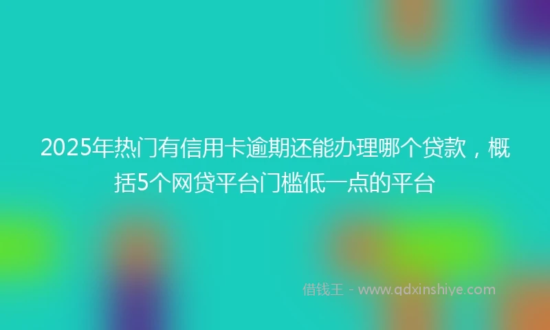 2025年热门有信用卡逾期还能办理哪个贷款，概括5个网贷平台门槛低一点的平台