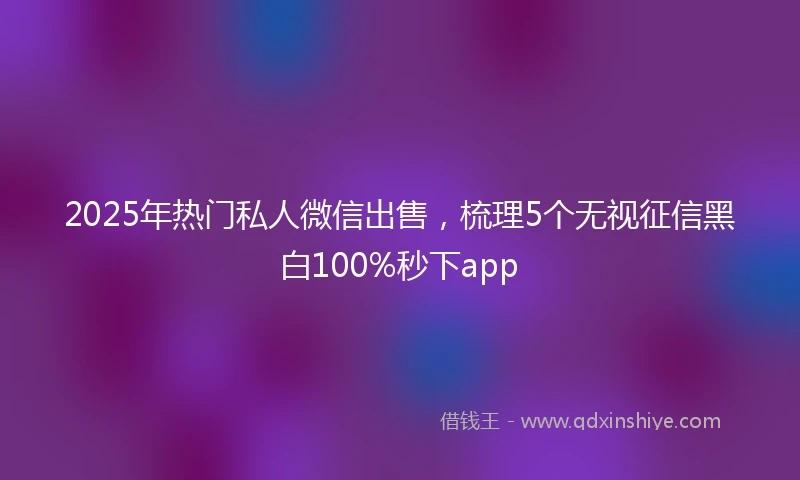2025年热门私人微信出售，梳理5个无视征信黑白100%秒下app