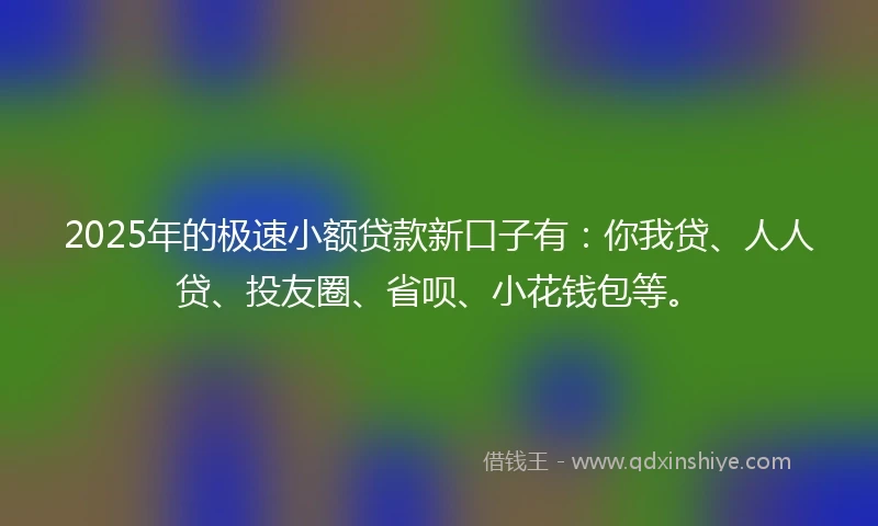 2025年的极速小额贷款新口子有：你我贷、人人贷、投友圈、省呗、小花钱包等。