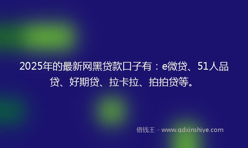 2025年的最新网黑贷款口子有：e微贷、51人品贷、好期贷、拉卡拉、拍拍贷等。