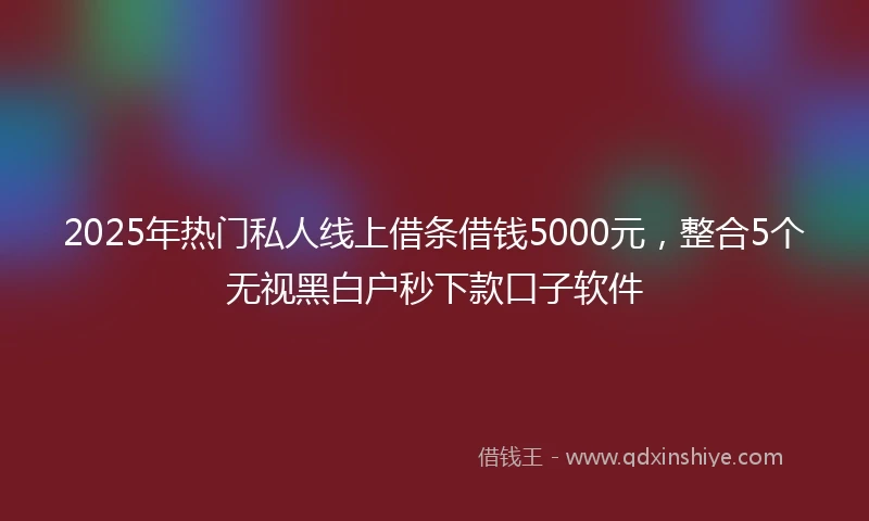 2025年热门私人线上借条借钱5000元，整合5个无视黑白户秒下款口子软件