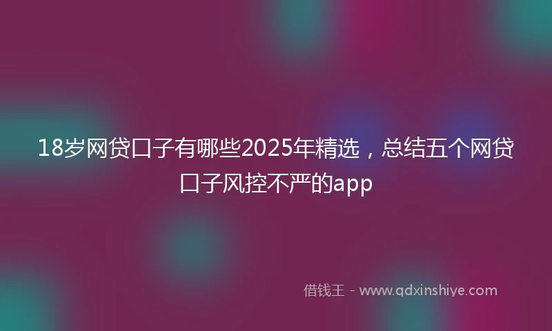 18岁网贷口子有哪些2025年精选，总结五个网贷口子风控不严的app