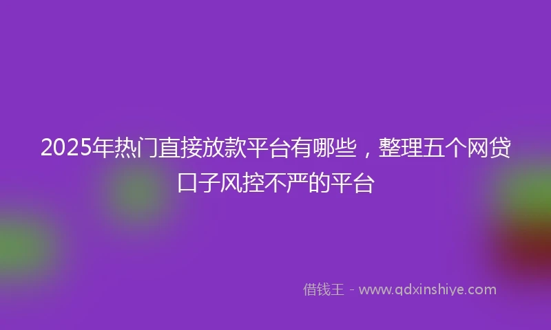 2025年热门直接放款平台有哪些，整理五个网贷口子风控不严的平台