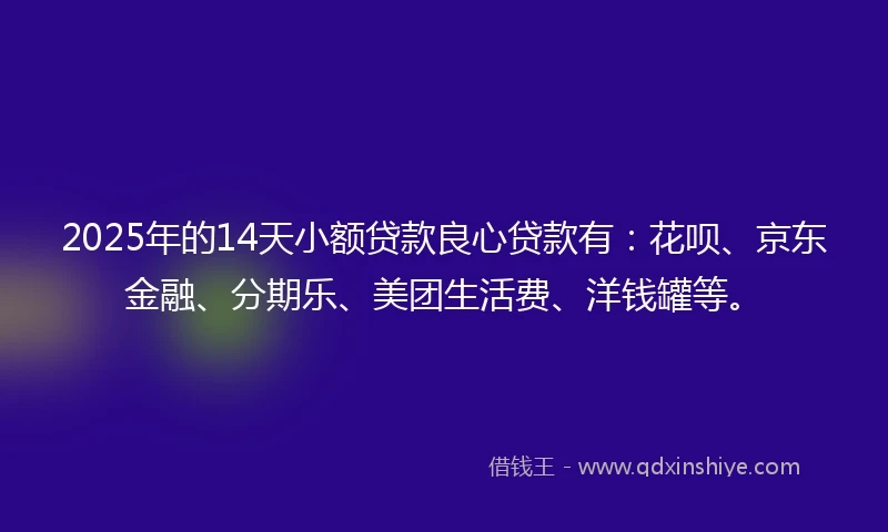 2025年的14天小额贷款良心贷款有：花呗、京东金融、分期乐、美团生活费、洋钱罐等。