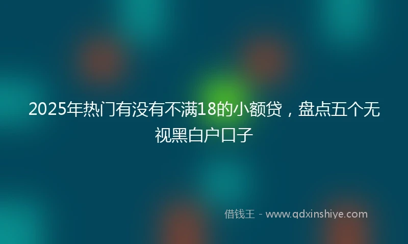 2025年热门有没有不满18的小额贷，盘点五个无视黑白户口子